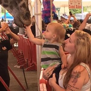 Meet your Posher, Hayley